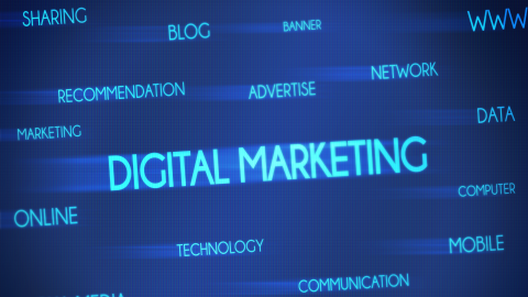 Digital Upskilling: Empowering Employees Through LMS