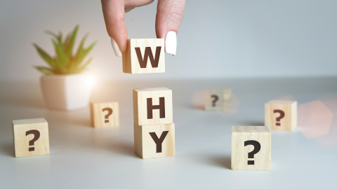 Why Every SME Needs an LMS in 2025