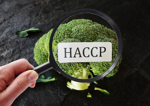Food Safety & HACCP Compliance Program