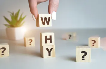 Why Every SME Needs an LMS in 2025