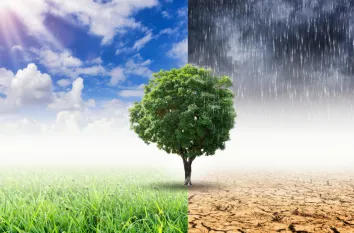 Environmental Sustainability & Climate Change Compliance Training Program